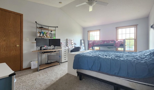 21245 123rd Ave N, Rogers, MN 55374 - photo 10