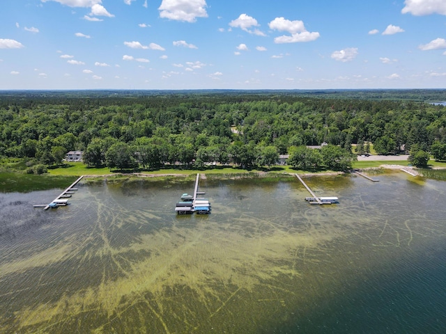 14590 Gazebo Dr Unit 10, Park Rapids, MN 56470 - drone / aerial view of a forest and a nearby body of water