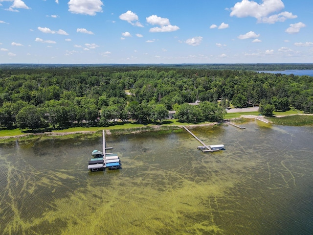 14590 Gazebo Dr Unit 10, Park Rapids, MN 56470 - drone / aerial view of a heavily wooded area and a large body of water