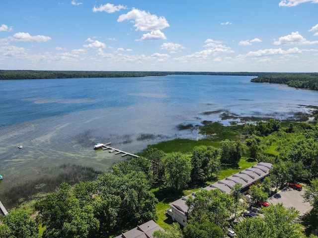 14590 Gazebo Dr Unit 10, Park Rapids, MN 56470 - bird's eye view of a nearby body of water