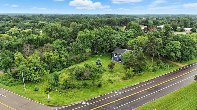 14423 Scandia Trl N, Scandia, MN 55073 - photo 41