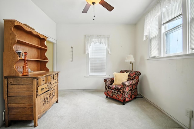 203 Mckinley St, Owatonna, MN 55060 - photo 13