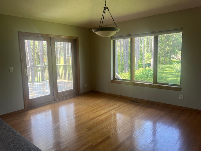 13205 Lake Place Rd, Baldwin Twp, MN 55398 - empty room featuring plenty of natural light and light wood-style floors