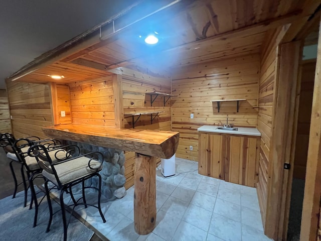 13205 Lake Place Rd, Baldwin Twp, MN 55398 - indoor wet bar featuring wooden walls