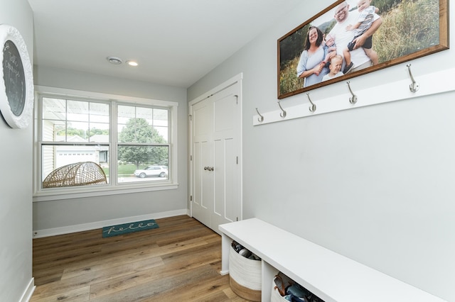 2990 Pinewood Ridge Dr SE, Rochester, MN 55904 - mudroom with recessed lighting and light wood-type flooring
