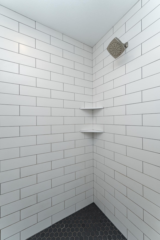 2990 Pinewood Ridge Dr SE, Rochester, MN 55904 - full bath with tiled shower