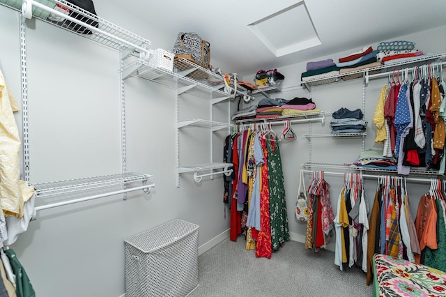 2990 Pinewood Ridge Dr SE, Rochester, MN 55904 - walk in closet featuring attic access and carpet floors