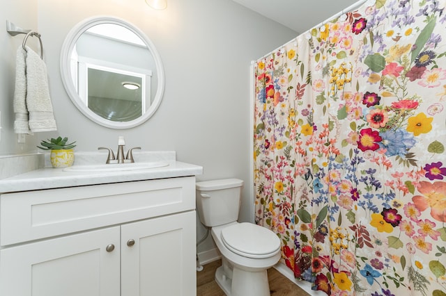2990 Pinewood Ridge Dr SE, Rochester, MN 55904 - bathroom with vanity, wood finished floors, and a shower with shower curtain