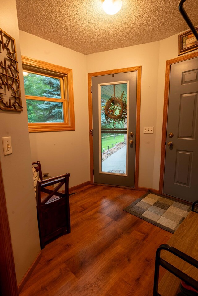 44198 Mosquito Trl, Pine Lake Twp, MN 56573 - entrance foyer featuring a textured ceiling and wood finished floors