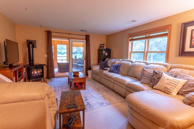 44198 Mosquito Trl, Pine Lake Twp, MN 56573 - living room with a textured ceiling and a wood stove