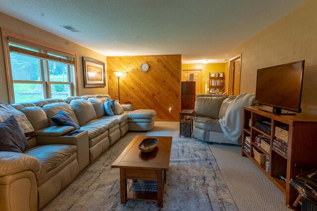 44198 Mosquito Trl, Pine Lake Twp, MN 56573 - carpeted living room with wood walls and a textured ceiling