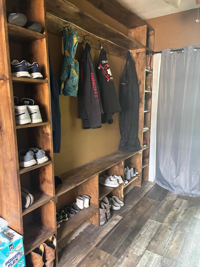 119 3rd Ave E, Franklin, MN 55333 - mudroom with wood finished floors