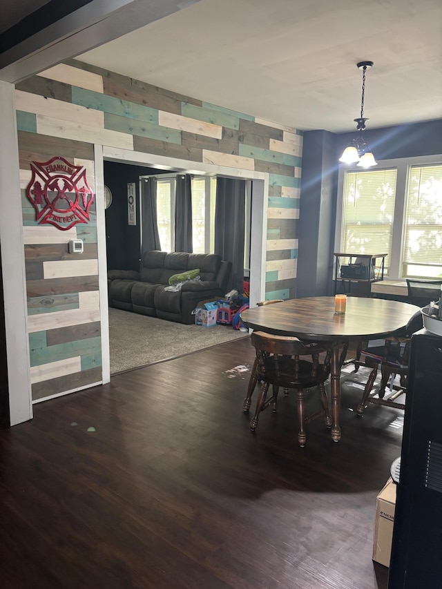 119 3rd Ave E, Franklin, MN 55333 - dining room with wood finished floors, plenty of natural light, and wooden walls