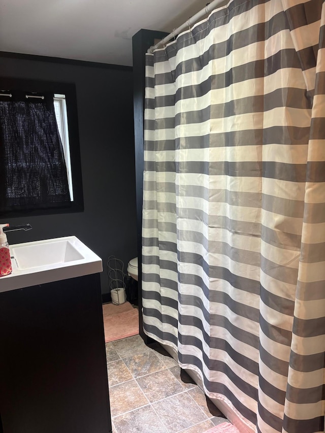 119 3rd Ave E, Franklin, MN 55333 - bathroom featuring vanity, stone finish flooring, and a shower with curtain