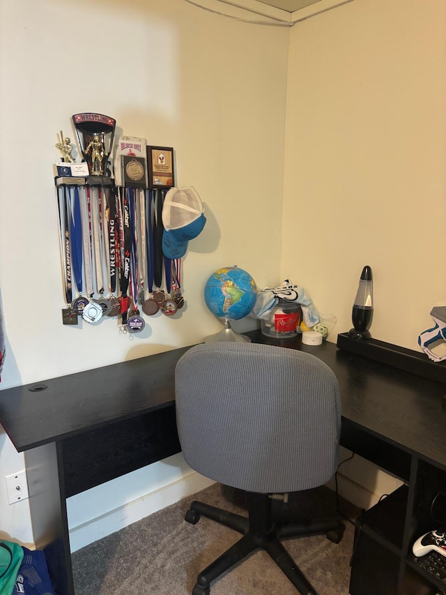119 3rd Ave E, Franklin, MN 55333 - view of home office
