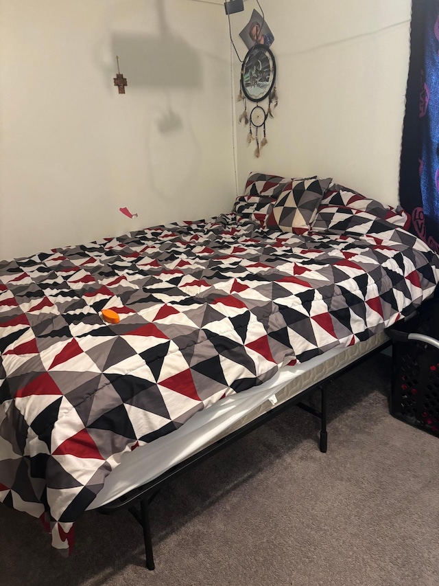 119 3rd Ave E, Franklin, MN 55333 - view of carpeted bedroom