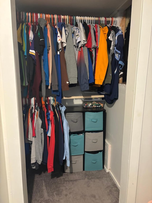 119 3rd Ave E, Franklin, MN 55333 - view of closet