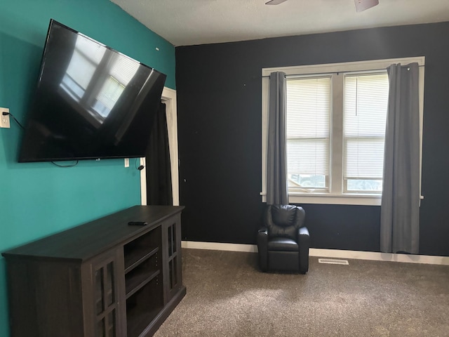 119 3rd Ave E, Franklin, MN 55333 - living area with ceiling fan and carpet