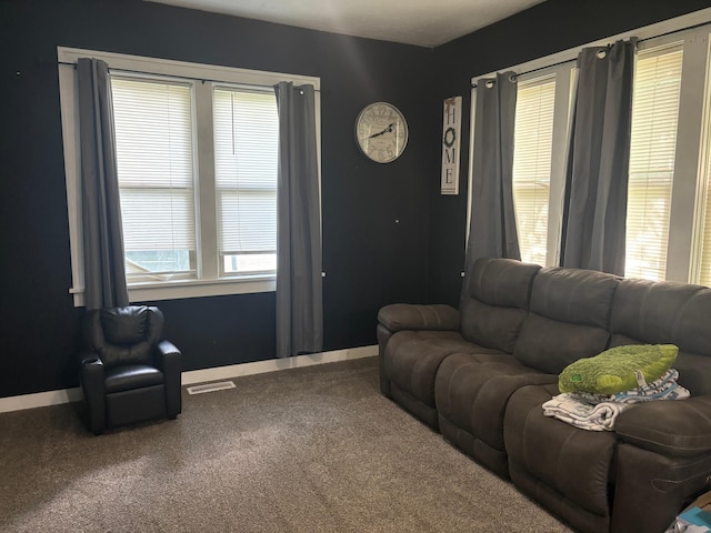 119 3rd Ave E, Franklin, MN 55333 - carpeted living room featuring plenty of natural light