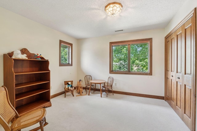 2511 112th St, Bloomington, MN 55431 - photo 39