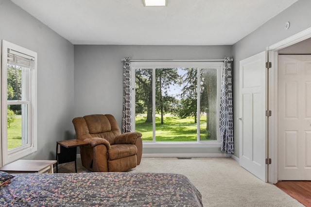 66578 330th St, Watkins, MN 55389 - bedroom with multiple windows