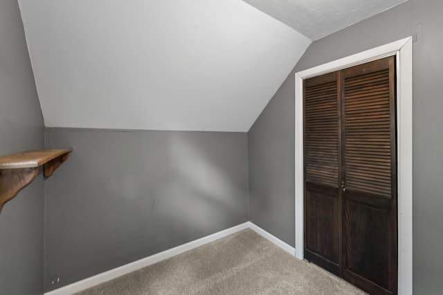 66578 330th St, Watkins, MN 55389 - additional living space with vaulted ceiling and carpet floors