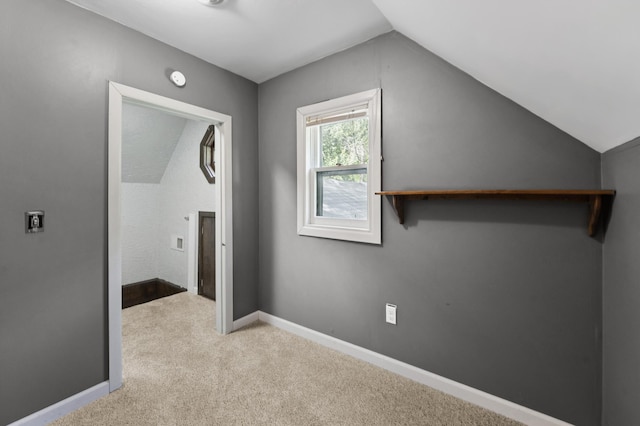 66578 330th St, Watkins, MN 55389 - bonus room with lofted ceiling and carpet