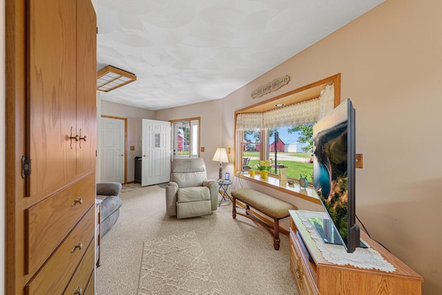 600 168th St, Summit Twp, MN 56026 - living area with light colored carpet