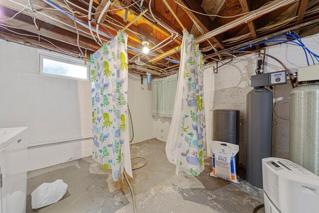 600 168th St, Summit Twp, MN 56026 - below grade area with a water softener