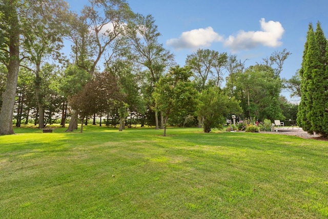 600 168th St, Summit Twp, MN 56026 - view of green lawn