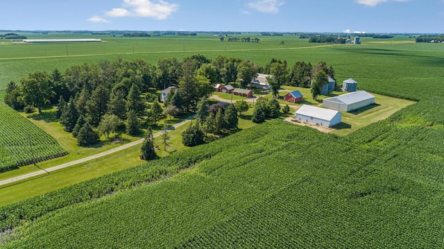 600 168th St, Summit Twp, MN 56026 - aerial view of sparsely populated area featuring rows of crops