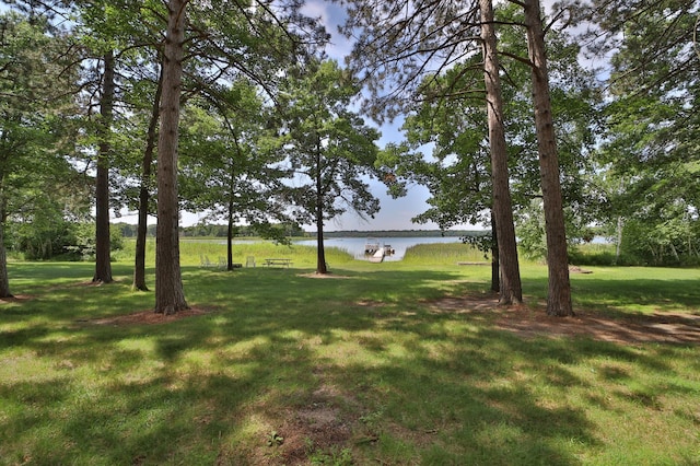 27625 Bass Lake Rd, Crosslake, MN 56465 - photo 49