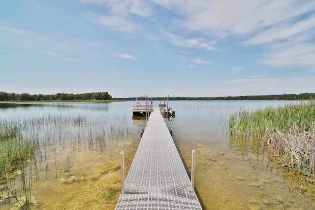27625 Bass Lake Rd, Crosslake, MN 56465 - photo 2