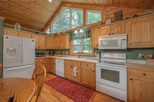 1020 County 5 NW, Hackensack, MN 56452 - photo 11