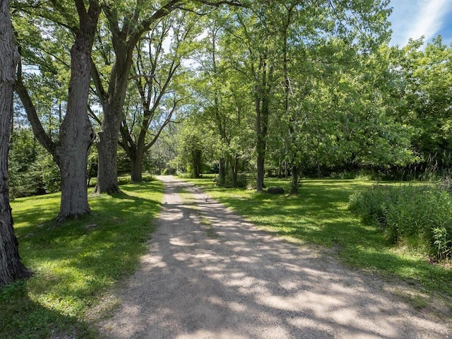 13775 Isleton Ave N, Hugo, MN 55038 - photo 13