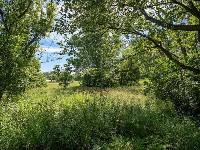 13775 Isleton Ave N, Hugo, MN 55038 - photo 30