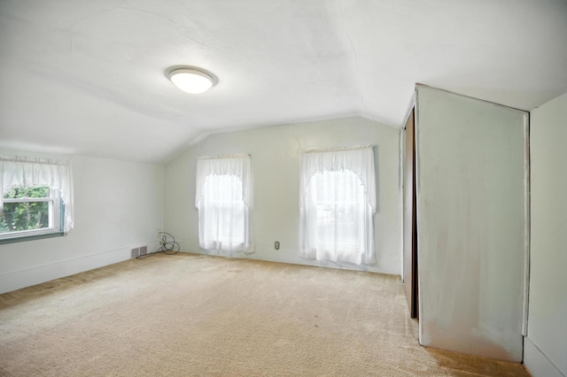 230 Spruce Ave, Owatonna, MN 55060 - photo 17