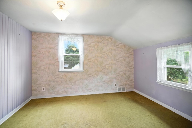 230 Spruce Ave, Owatonna, MN 55060 - photo 20