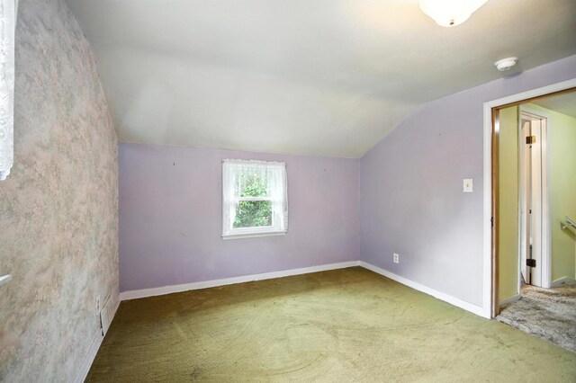 230 Spruce Ave, Owatonna, MN 55060 - photo 21