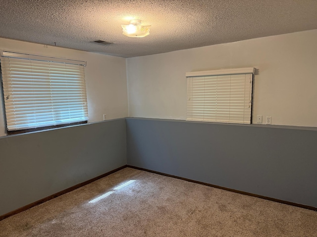 925 Holcombe Ave, Litchfield, MN 55355 - empty room featuring carpet floors and a textured ceiling
