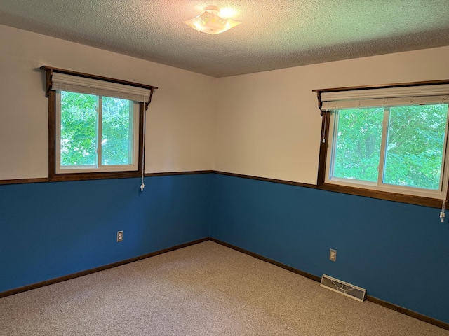 925 Holcombe Ave, Litchfield, MN 55355 - spare room featuring carpet and a textured ceiling