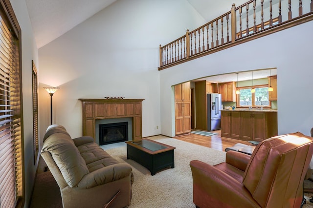 12310 Grouse St NW, Coon Rapids, MN 55448 - living area featuring high vaulted ceiling, a glass covered fireplace, and light wood-type flooring