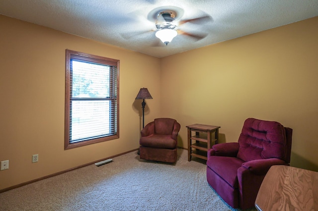 12310 Grouse St NW, Coon Rapids, MN 55448 - living area with carpet floors, ceiling fan, and a textured ceiling