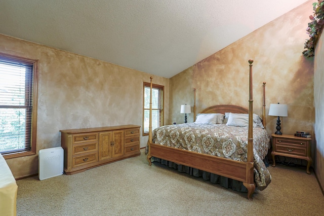 12310 Grouse St NW, Coon Rapids, MN 55448 - carpeted bedroom featuring a textured ceiling and vaulted ceiling
