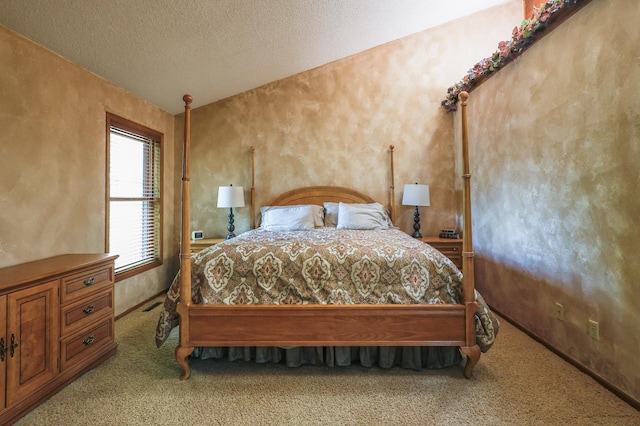 12310 Grouse St NW, Coon Rapids, MN 55448 - bedroom with carpet and a textured ceiling