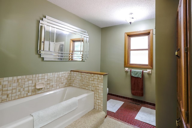 12310 Grouse St NW, Coon Rapids, MN 55448 - bathroom with a garden tub and a textured ceiling