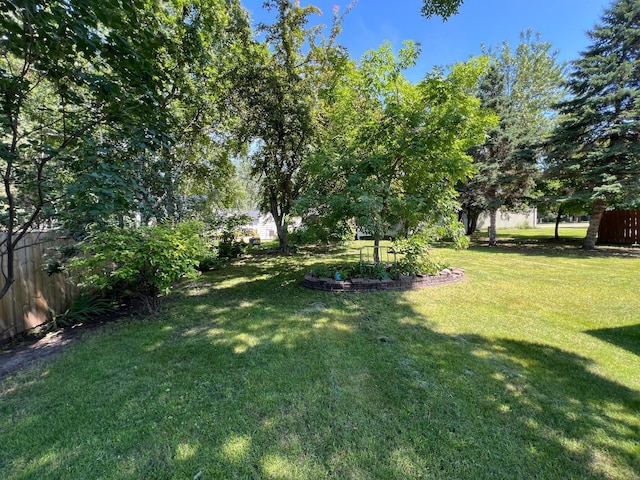 1010 Oakwood Ave, Benson, MN 56215 - view of yard