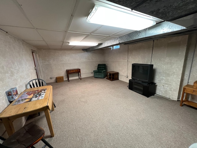 1010 Oakwood Ave, Benson, MN 56215 - basement with a paneled ceiling and carpet flooring
