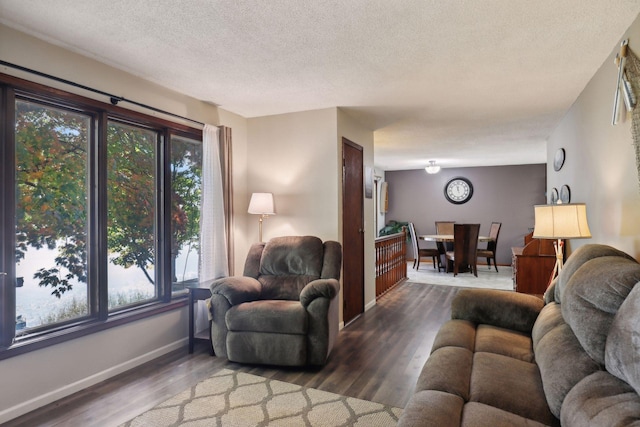 1060 Greer Ave NW, Albion Twp, MN 55358 - living area featuring a textured ceiling and wood finished floors