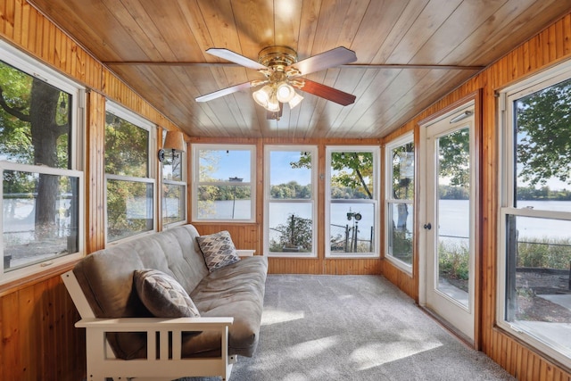 1060 Greer Ave NW, Albion Twp, MN 55358 - sunroom / solarium with wood ceiling, a water view, healthy amount of natural light, wood walls, and carpet